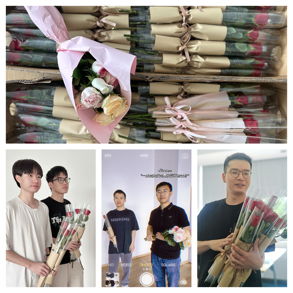 以(yi)玫瑰之(zhi)名(míng)，緻敬每一(yi)箇(ge)髮(fa)光的(de)你(圖1)